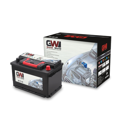 Coche de la marca GW Great World